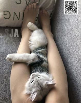 欧美男摸_高清完整版